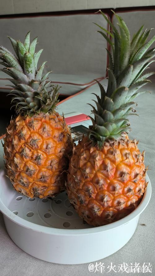 老款菠萝视频怀旧经典合集